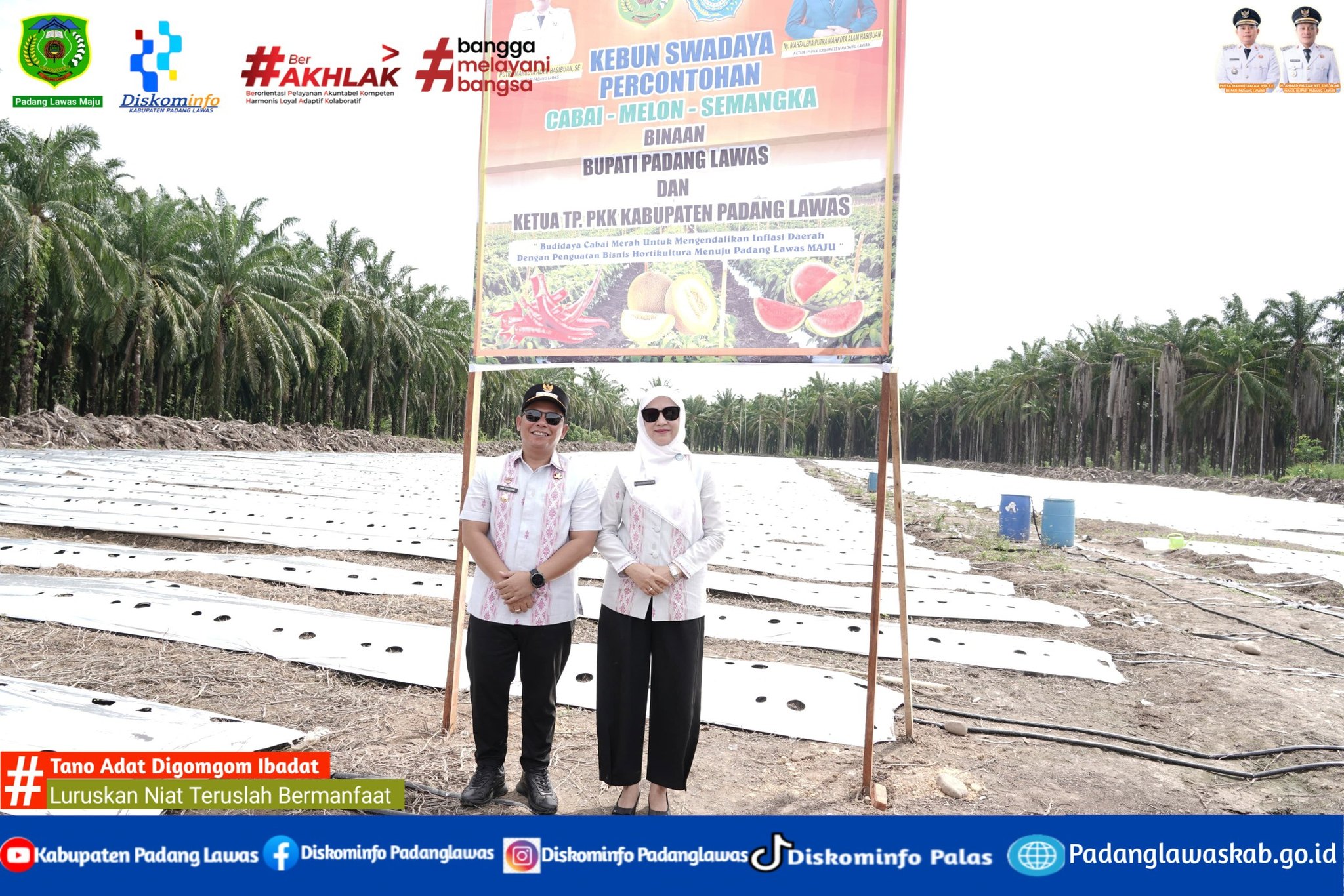 DORONG KETAHANAN PANGAN DAN STABILITAS HARGA PANGAN KABUPATEN PADANG LAWAS.