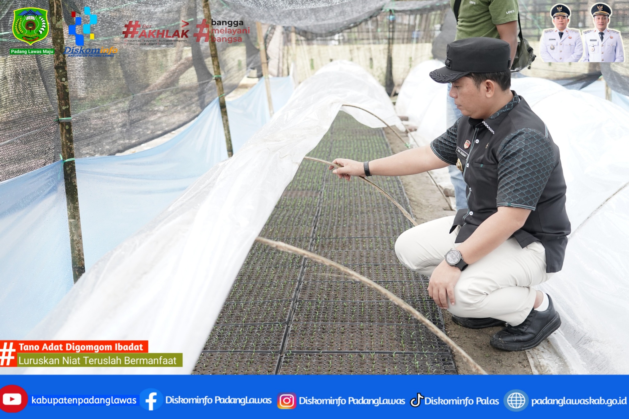 CEGAH INFLASI DAERAH DENGAN BUDIDAYA CABAI MERAH, DAN PENGEMBANGAN SEMANGKA DAN MELON.