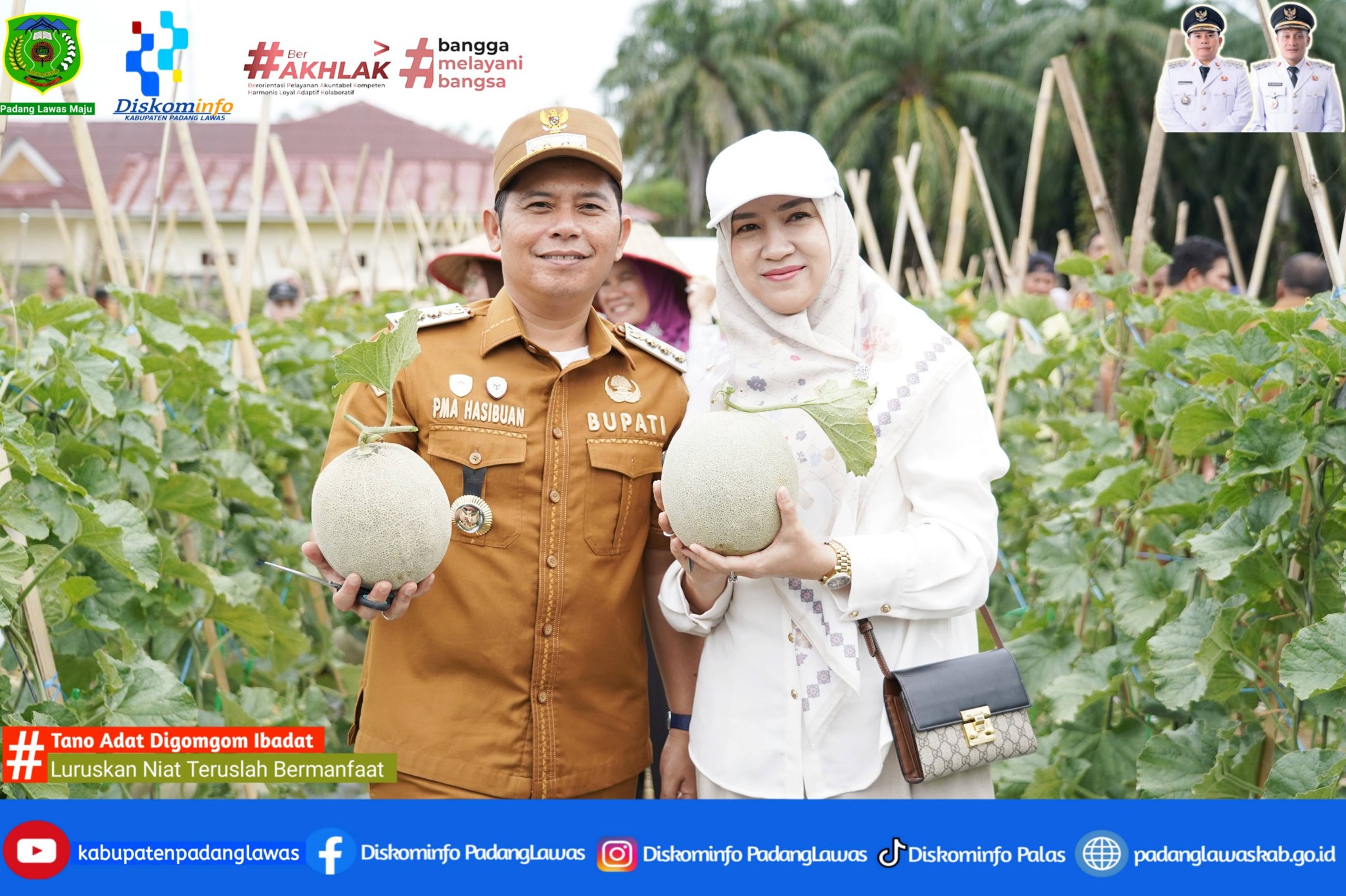 PANEN PERDANA MELON DI KEBUN SWADAYA BINAAN BUPATI DAN TP PKK