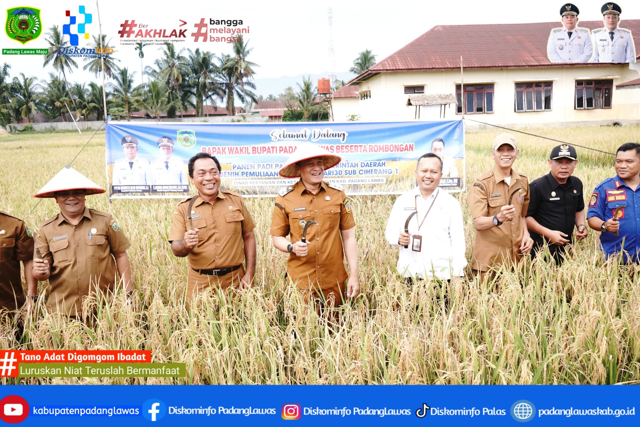 PANEN PADI PADA LAHAN PEMERINTAH DAERAH BENIH PEMULIAAN VARIETAS INPARI30 SUB CIHERANG 1DINAS